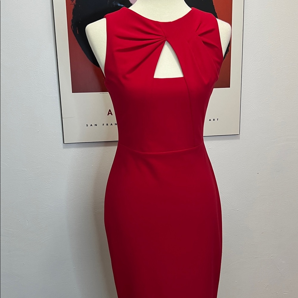 Red Cut Out Calvin Klein Dress - Picture 4 of 9